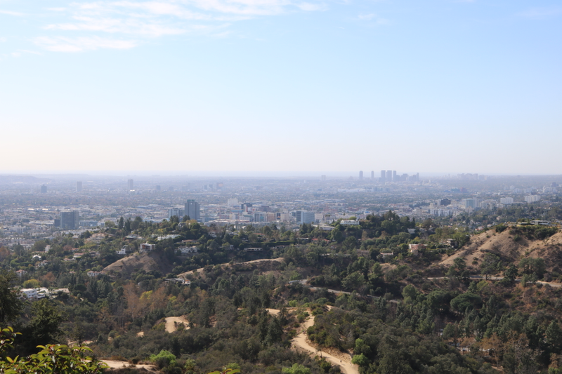 Illustration for article titled Griffith Park Photodump